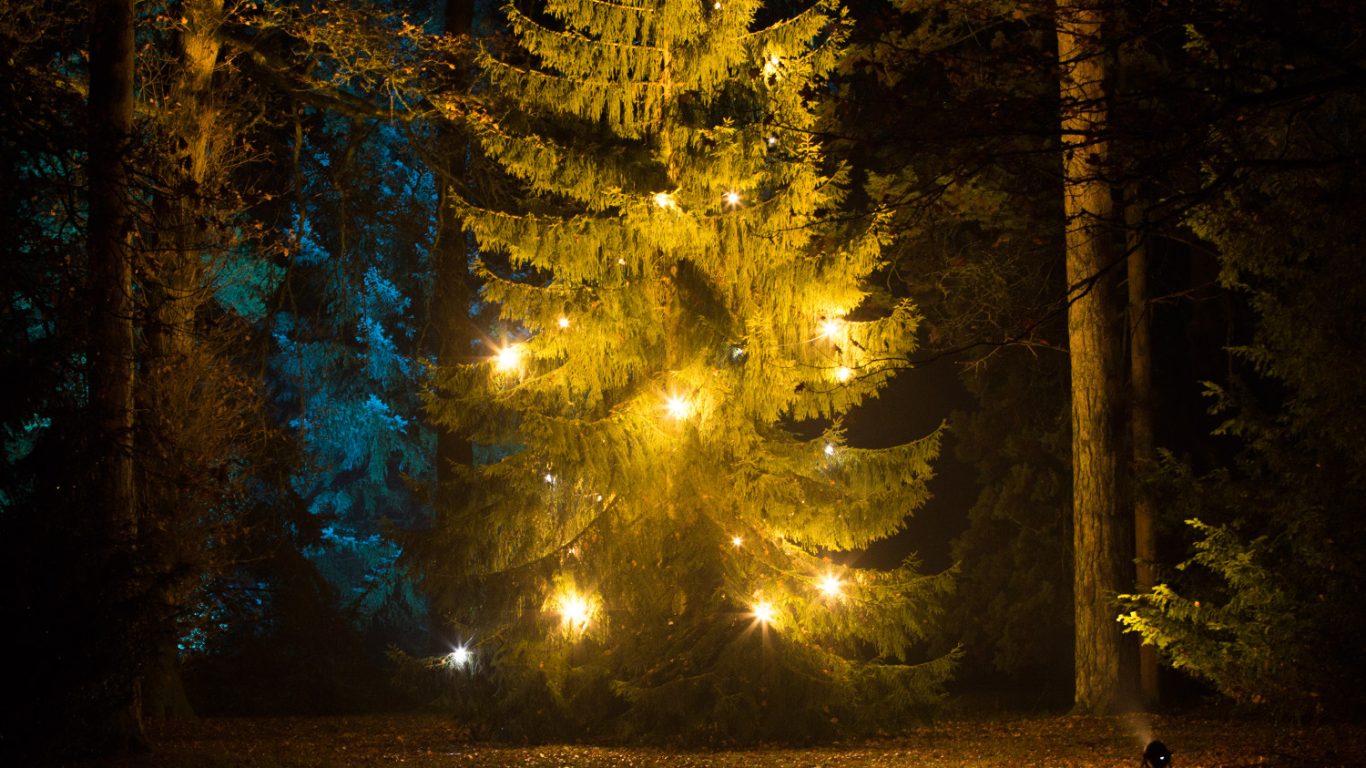 Christmas is here, and all that it brings