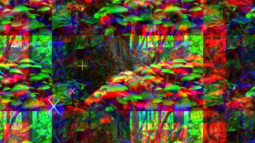 The Psychedelic Prescription
